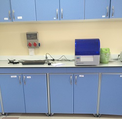 Qiagen Kapiler Genotipleme Cihazı