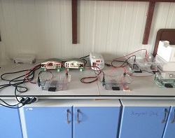 Elektroforez Düzenekleri
