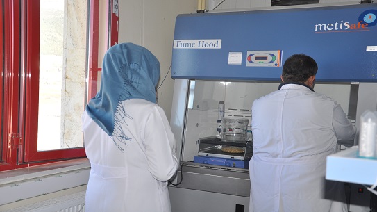 Öğrenciler Laboratuvarda