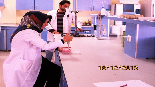 Öğrenciler Laboratuvarda